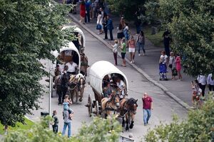 18 августа: кортеж из лошадей-тяжеловозов прошел по Калининграду