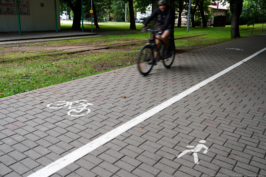 Власти Калининграда отреагировали на критику велоразметки: «Мы не называем ее велодорожками»