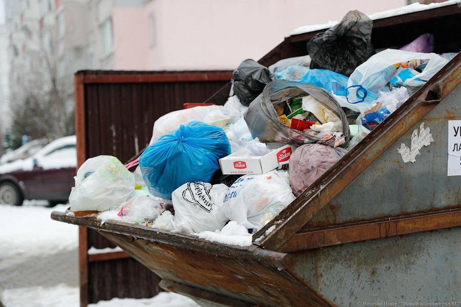 Горвласти не в курсе, изменились ли нормативы накопления мусора для школ и детсадов