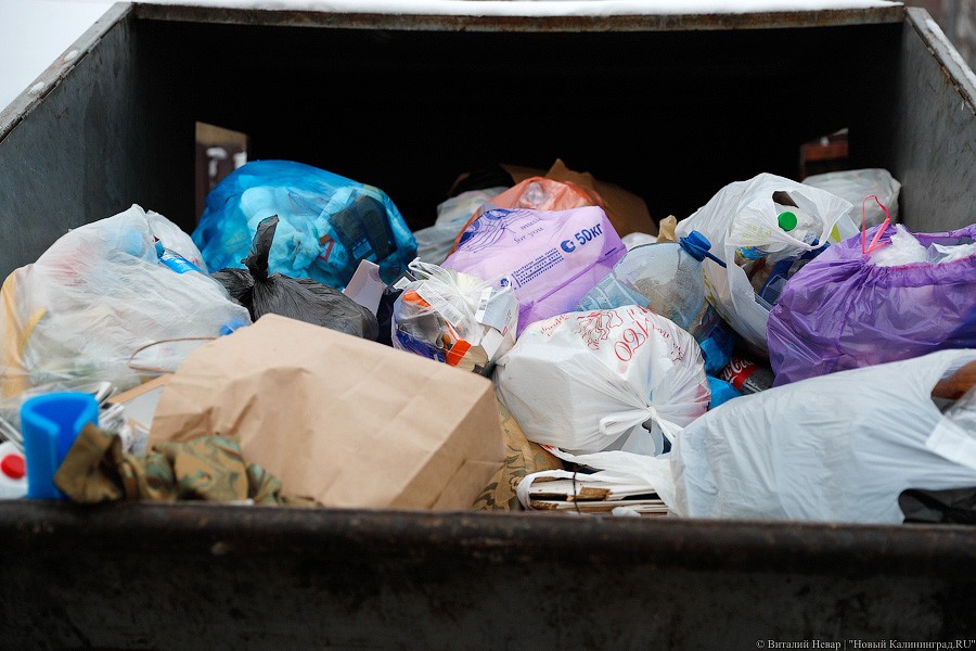 «Горы отходов»: в Балтийске не вывозили мусор из-за сгоревшего мусоровоза