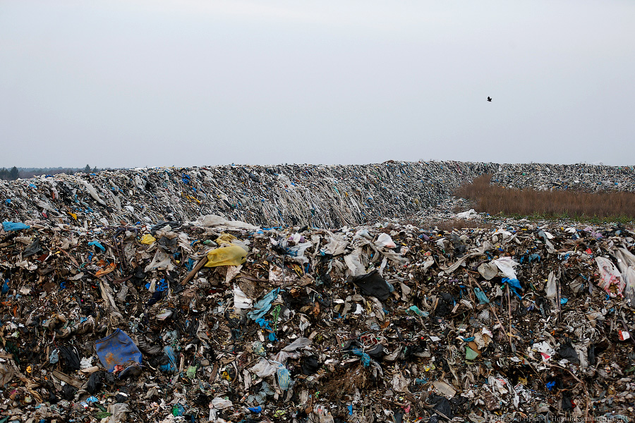 Калининградская область собирается запустить первую в регионе мусоросжигательную установку