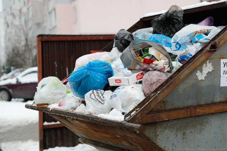 На плечах граждан: как мусорная реформа поссорила в регионе власти и бизнес