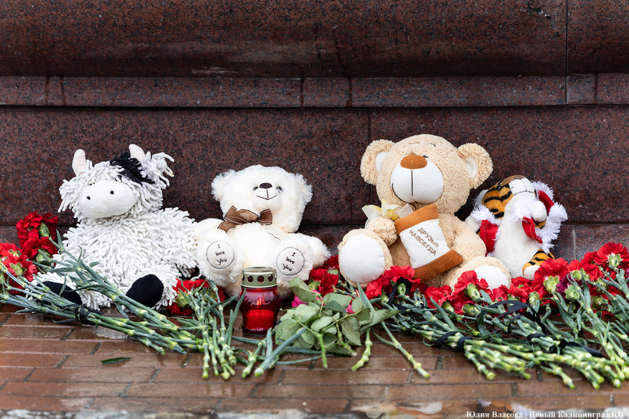 Личности 134 погибших во время теракта в «Крокус Сити Холле» удалось установить