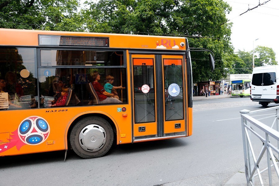 Власти Калининграда расторгли договор с «Зеленоградск-Трансом» на перевозку пассажиров