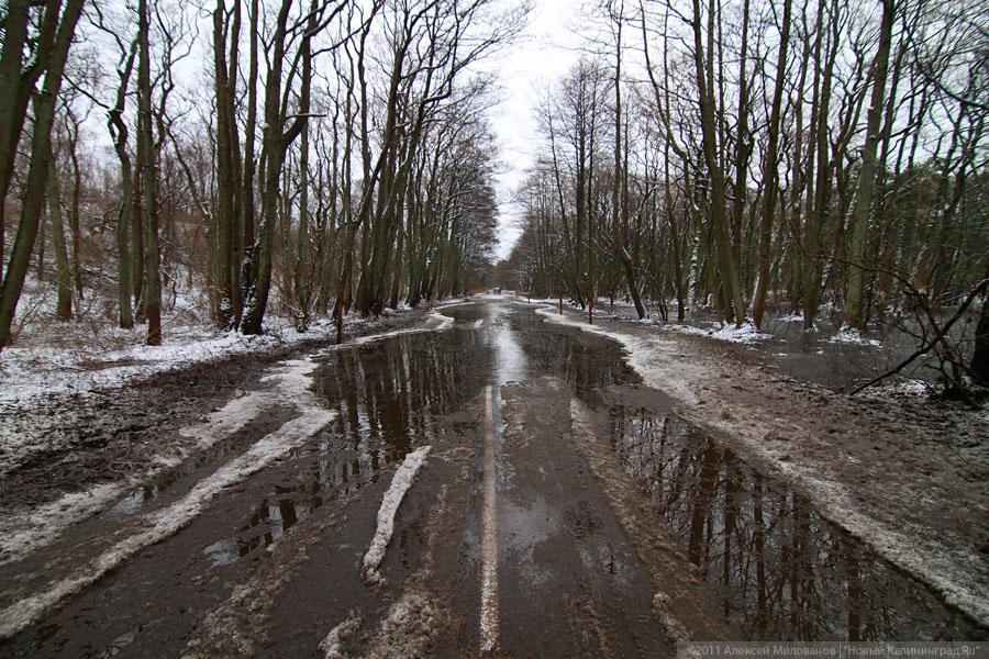 «Нацпарк штормового периода»: фоторепортаж «Нового Калининграда.Ru»
