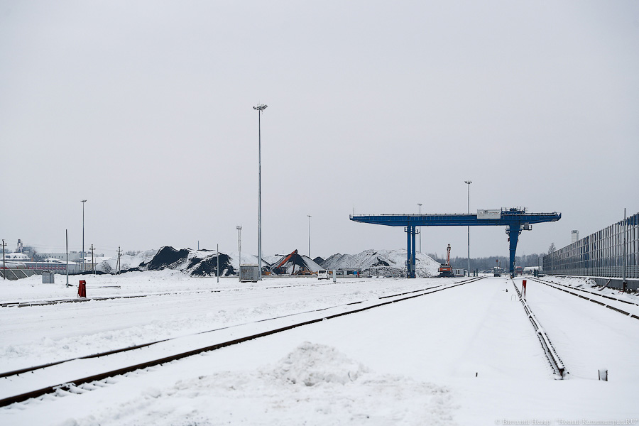 Роспотребнадзор об угольном терминале в Калининграде: шума, пыли и запаха нет