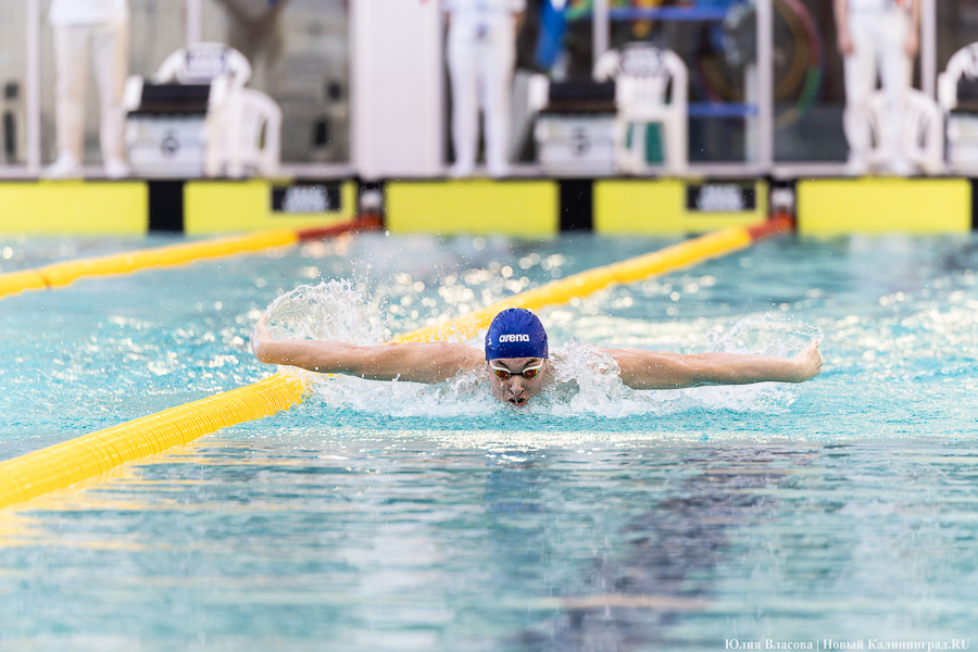 Легкой воды: как Калининград впервые принимал Кубок России по плаванию (фото)
