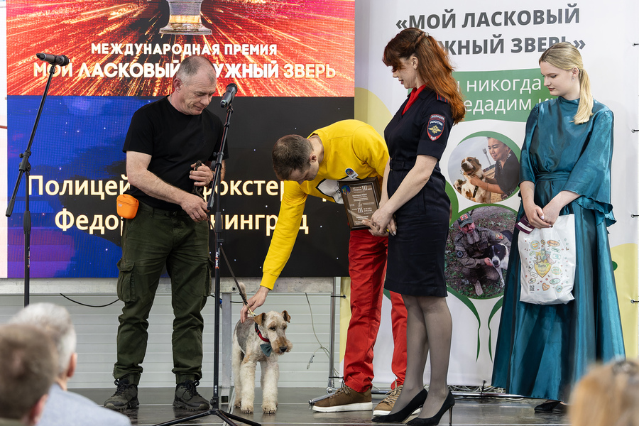 Полицейский пес Федор из Калининграда стал призером «Лохматого оскара»