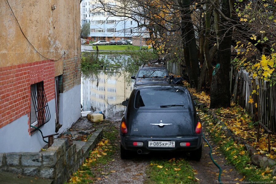 Калининградская областная Дума решила запретить парковаться на газонах
