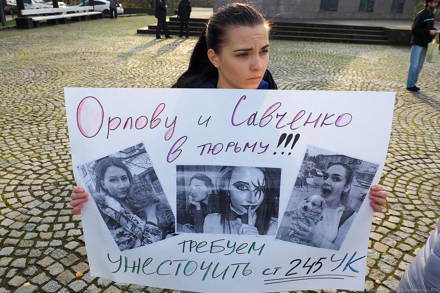 За что нас убивают?: как в Калининграде митинговали в защиту животных