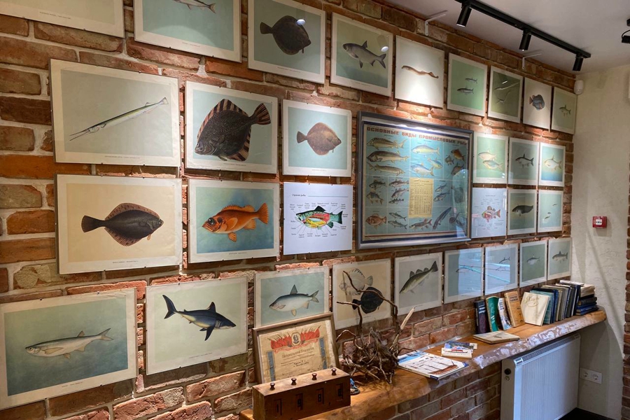 На Куршской косе открыли «Музей рыбака и рыб» (фото)
